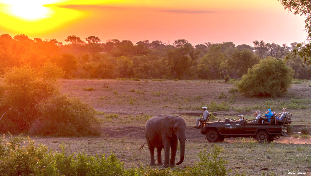 sunset game-drive